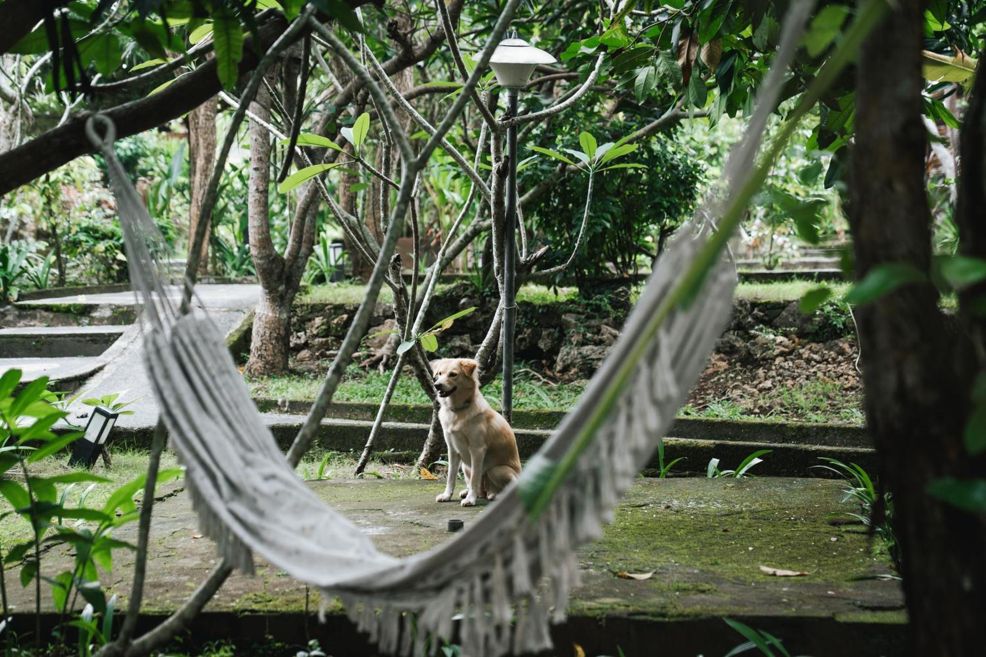 Olo Surf Nature Uluwatu Extérieur photo
